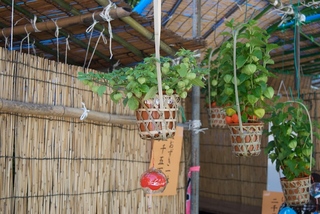 2011-07-10 08-38-07.jpg