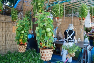 2011-07-10 08-38-29.jpg