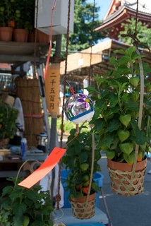 2011-07-10 08-39-13.jpg