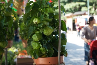 2011-07-10 08-41-57.jpg