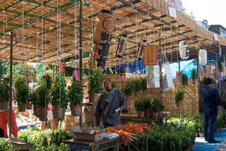 2011-07-10 08-42-07.jpg
