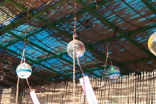 2011-07-10 08-25-20.jpg